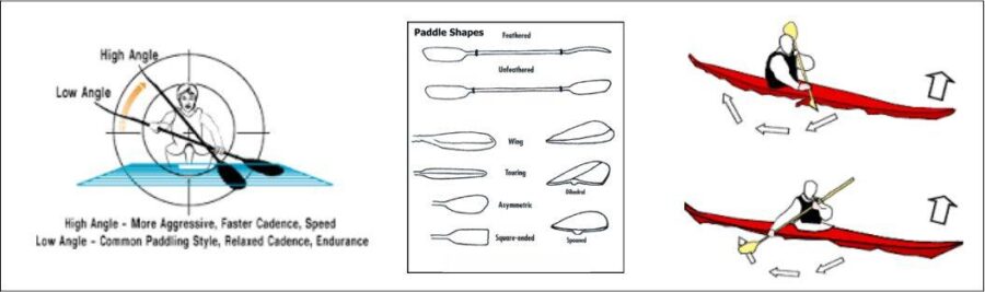 sea kayak paddle strokes